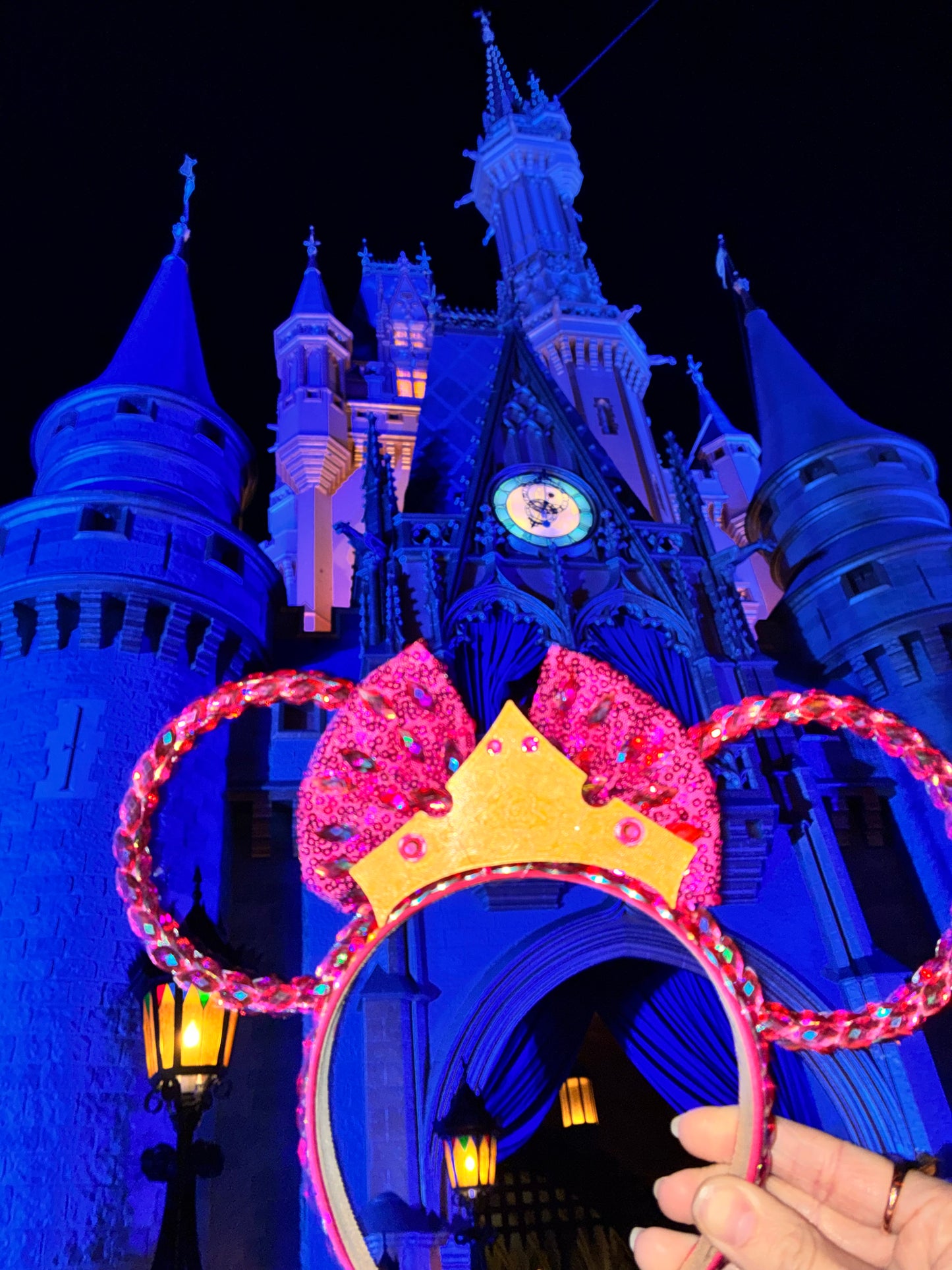 Pink Park Princess 💖